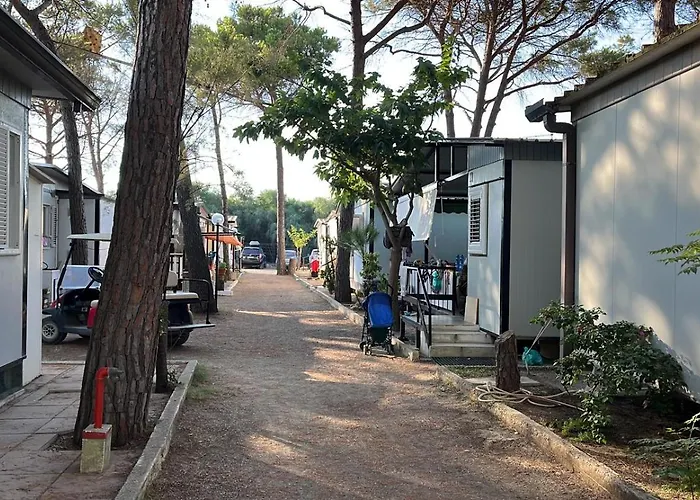 Hotel Ping Pong: Villaggio Mondial Camping